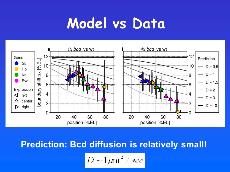 Model vs Data Prediction: Bcd diffusion is relatively small!