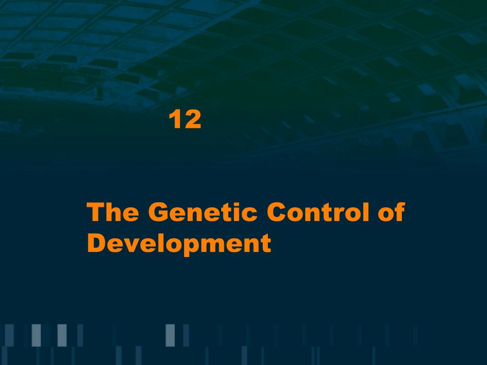 12 The Genetic Control of Development