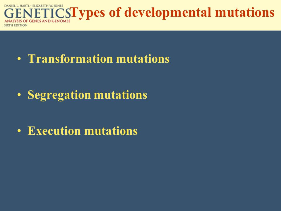 Types of developmental mutations Transformation mutations Segregation mutations Execution mutations