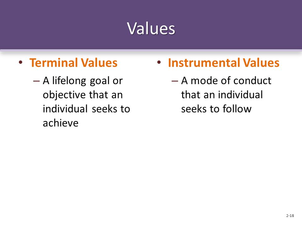 Values Terminal Values – A lifelong goal or objective that an individual seeks to achieve Instrumental Values – A mode of conduct that an individual seeks to follow 2-18