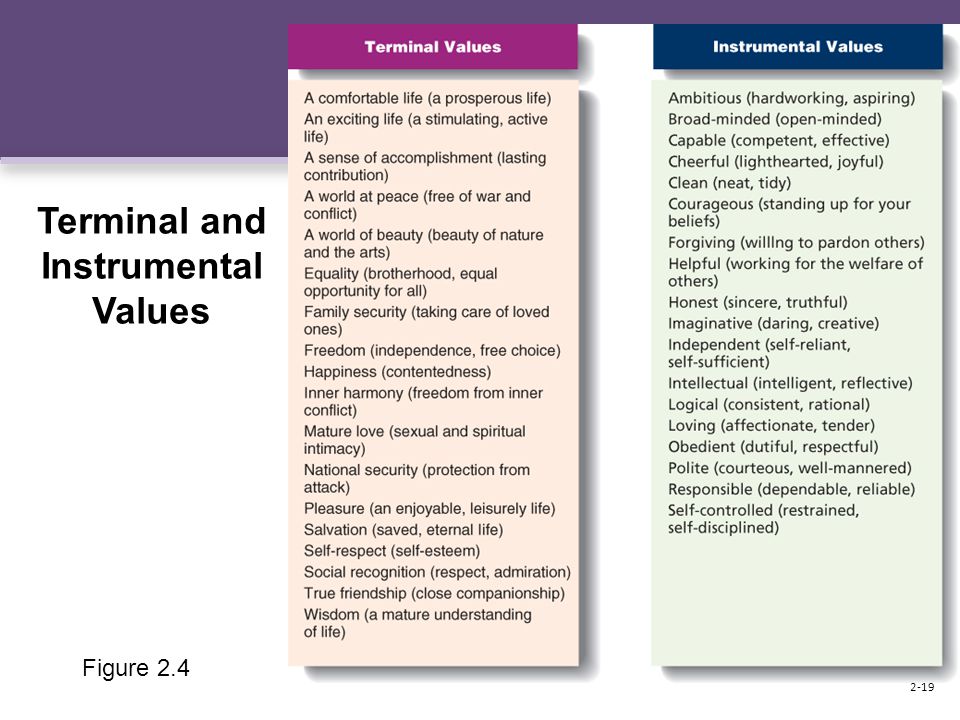 Figure 2.4 Terminal and Instrumental Values 2-19