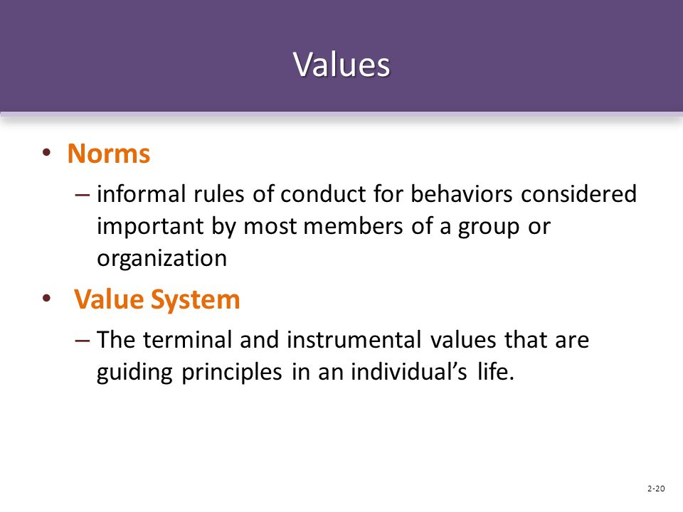 Values Norms – informal rules of conduct for behaviors considered important by most members of a group or organization Value System – The terminal and instrumental values that are guiding principles in an individual’s life.