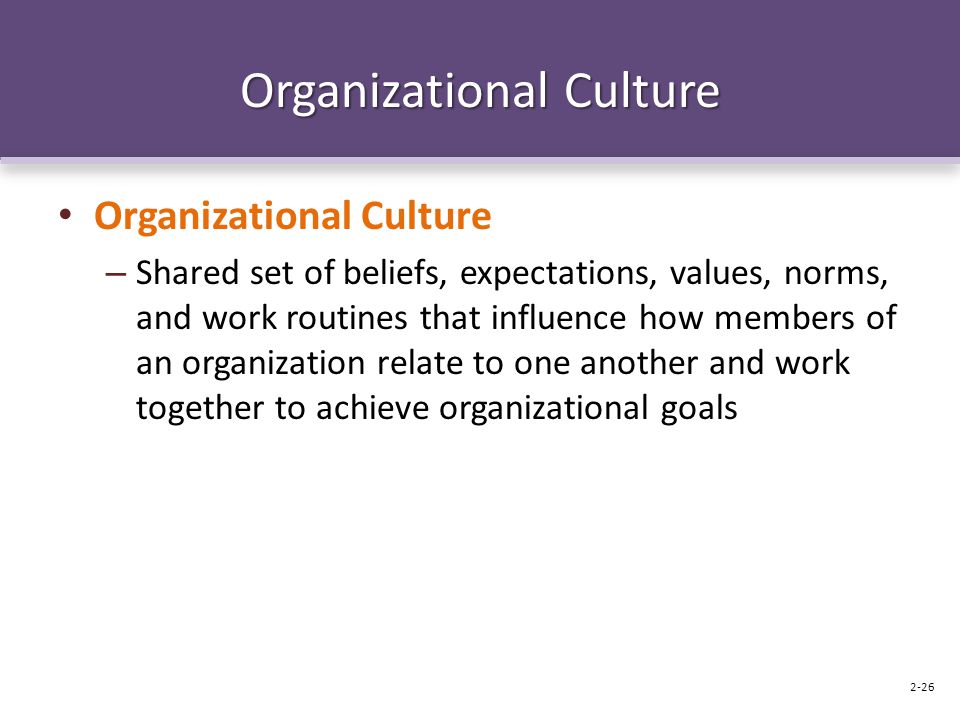 Organizational Culture – Shared set of beliefs, expectations, values, norms, and work routines that influence how members of an organization relate to one another and work together to achieve organizational goals 2-26