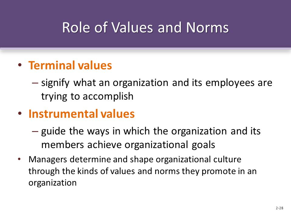 Role of Values and Norms Terminal values – signify what an organization and its employees are trying to accomplish Instrumental values – guide the ways in which the organization and its members achieve organizational goals Managers determine and shape organizational culture through the kinds of values and norms they promote in an organization 2-28