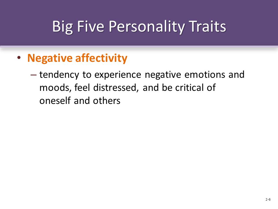 Big Five Personality Traits Negative affectivity – tendency to experience negative emotions and moods, feel distressed, and be critical of oneself and others 2-6
