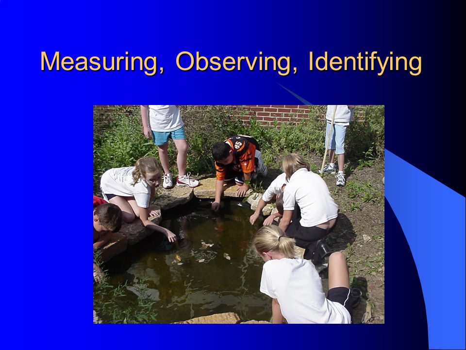 Measuring, Observing, Identifying