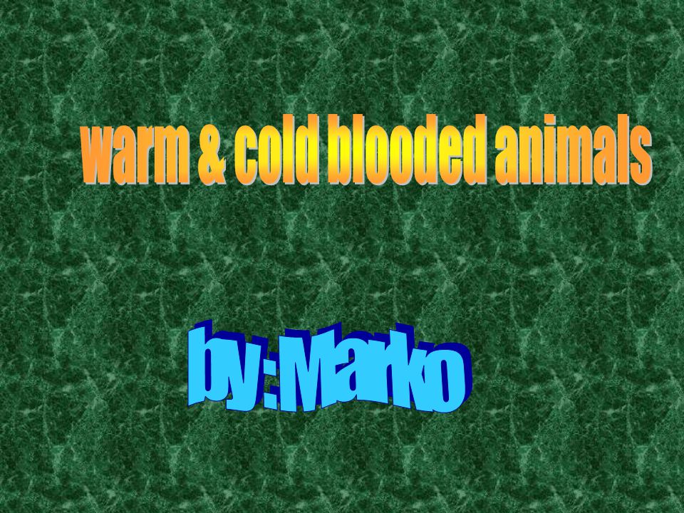 what does the phrase in cold blood mean