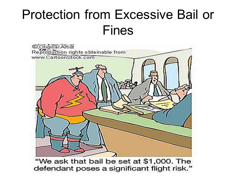 Protection from Excessive Bail or Fines