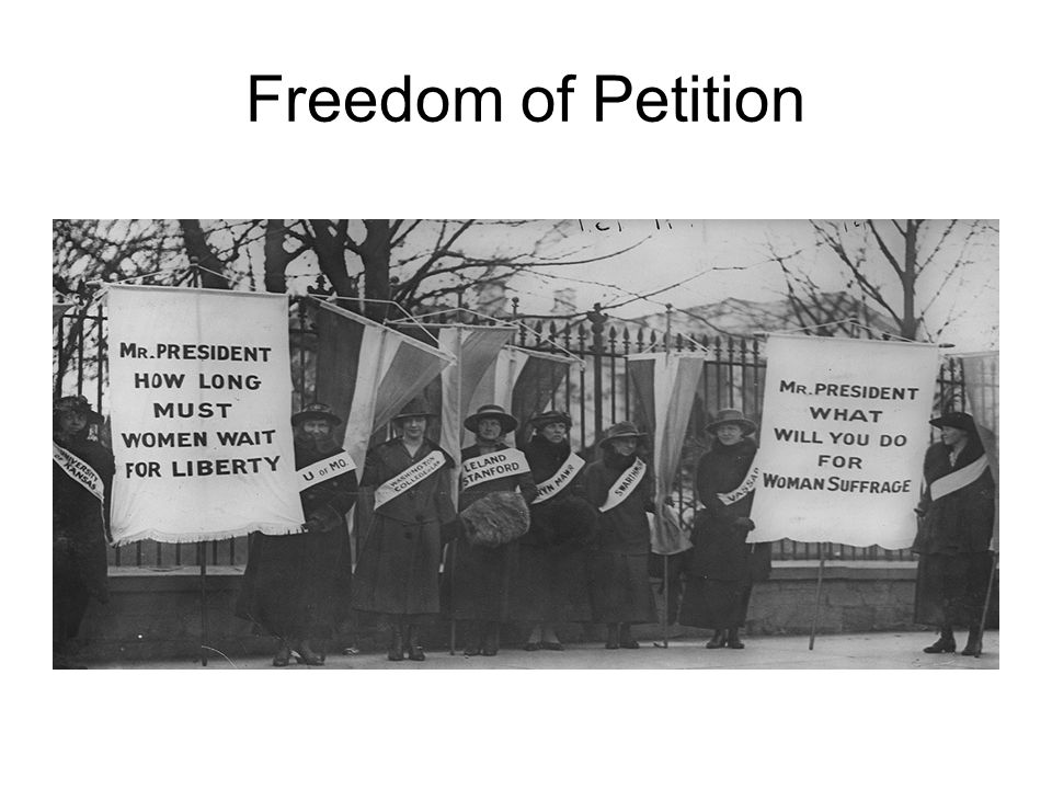 Freedom of Petition