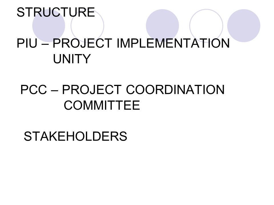 STRUCTURE STRUCTURE PIU – PROJECT IMPLEMENTATION UNITY PCC – PROJECT COORDINATION COMMITTEE STAKEHOLDERS