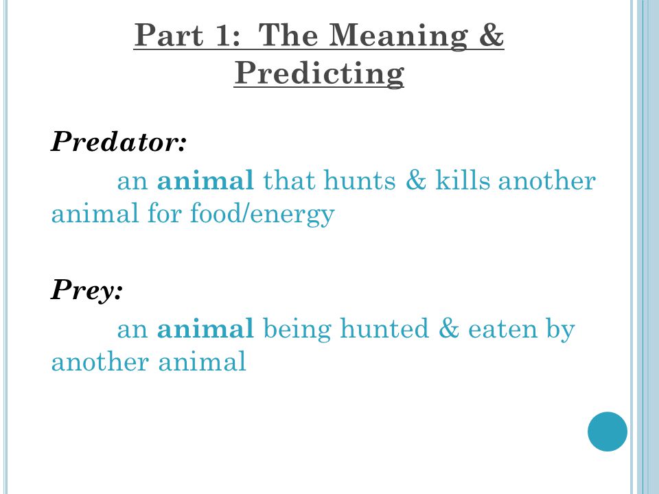 The Predator-Prey Relationship. Part 1: The Meaning & Predicting With your  tablemates, discuss the information in part 1 Define the terms Complete  the. - ppt download