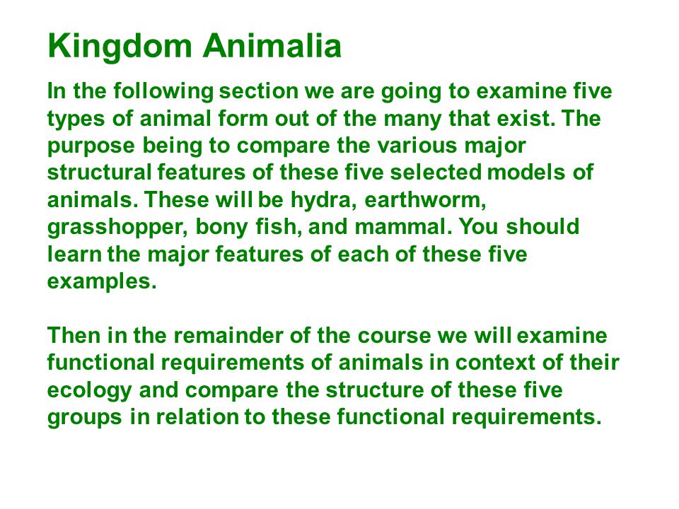 Kingdom Animalia In the following section we are going to examine five types of animal form out of the many that exist.