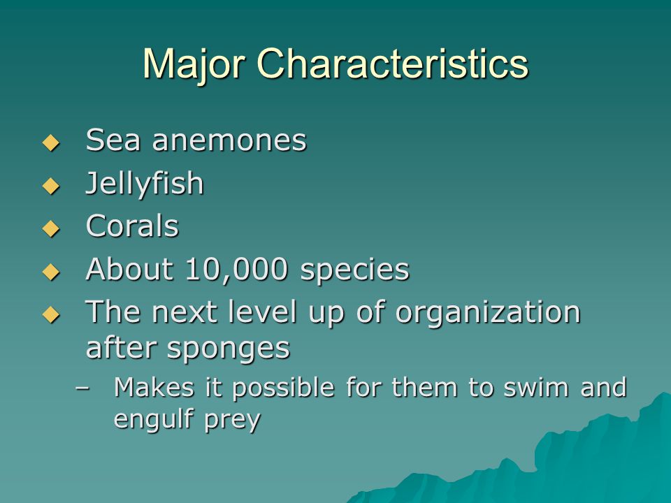 Major Characteristics  Sea anemones  Jellyfish  Corals  About 10,000 species  The next level up of organization after sponges –Makes it possible for them to swim and engulf prey