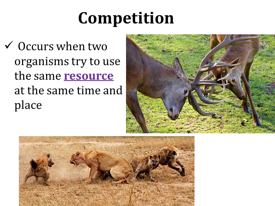 Competition Occurs when two organisms try to use the same resource at the same time and place