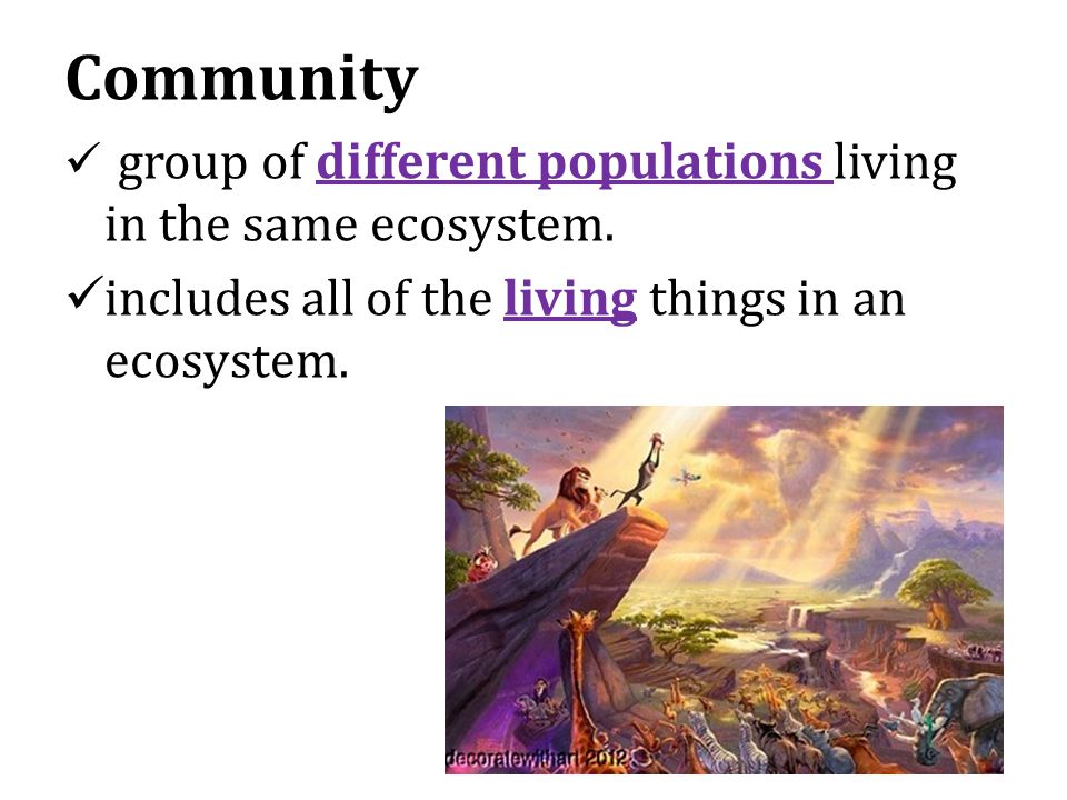 Community group of different populations living in the same ecosystem.