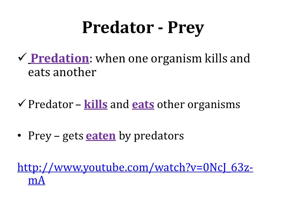 Predator - Prey Predation: when one organism kills and eats another Predator – kills and eats other organisms Prey – gets eaten by predators   v=0NcJ_63z- mA