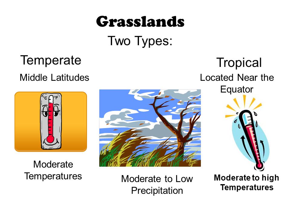 Grasslands Temperate Tropical Moderate to Low Precipitation Two Types: Moderate Temperatures Located Near the Equator Middle Latitudes Moderate to high Temperatures