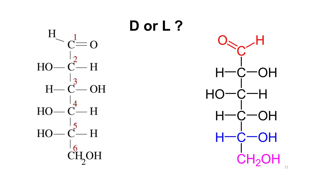D or L 11