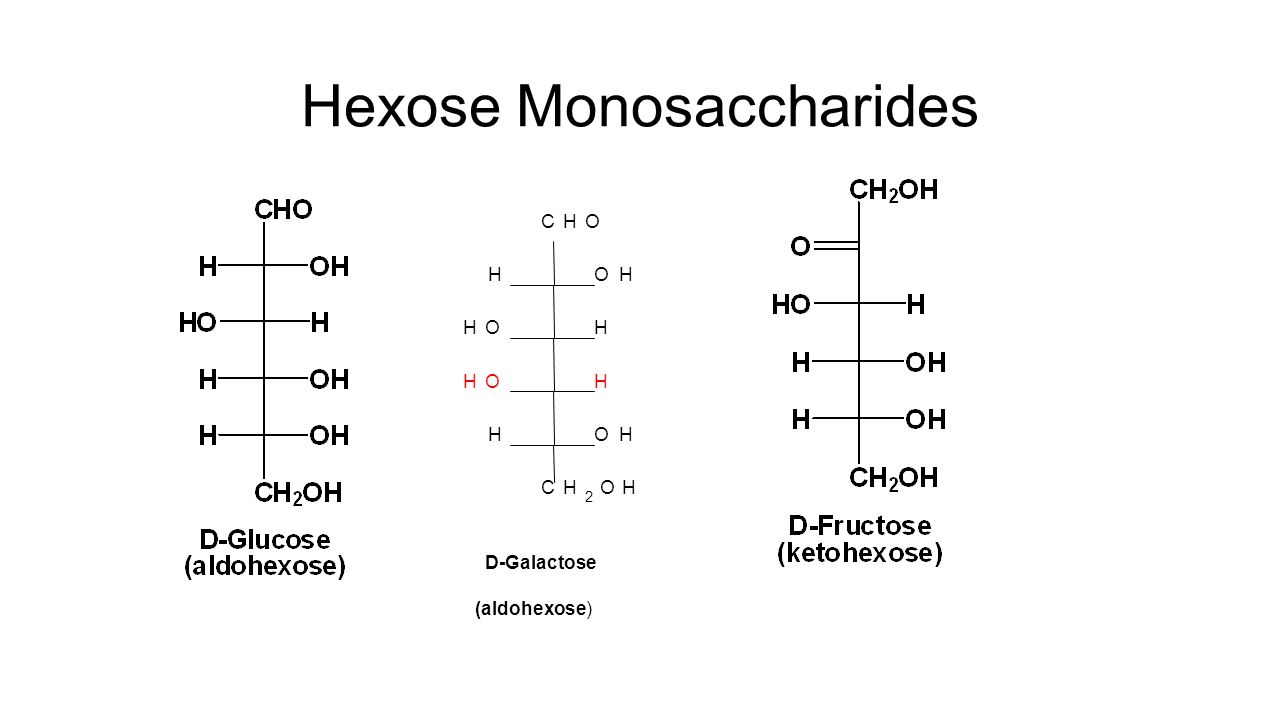 Hexose Monosaccharides CHO OHH HHO HHO OHH CH 2 OH D-Galactose (aldohexose)