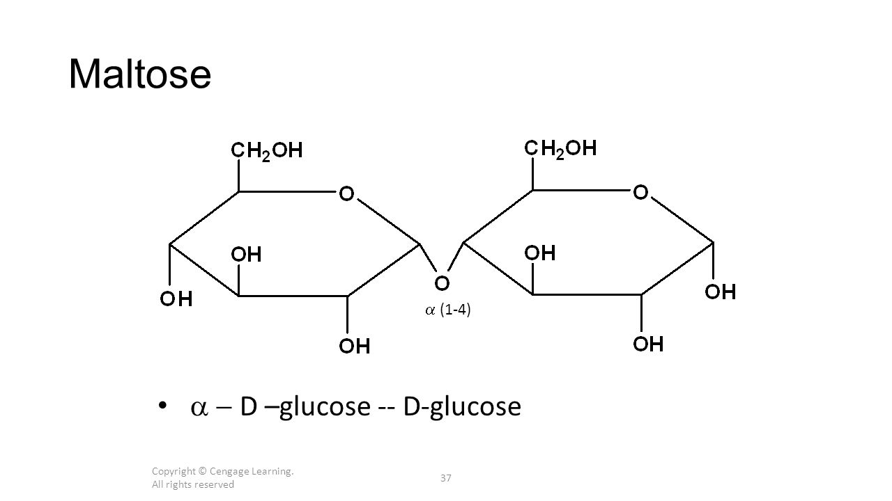 Copyright © Cengage Learning. All rights reserved 37 Maltose  (1-4)  D –glucose -- D-glucose