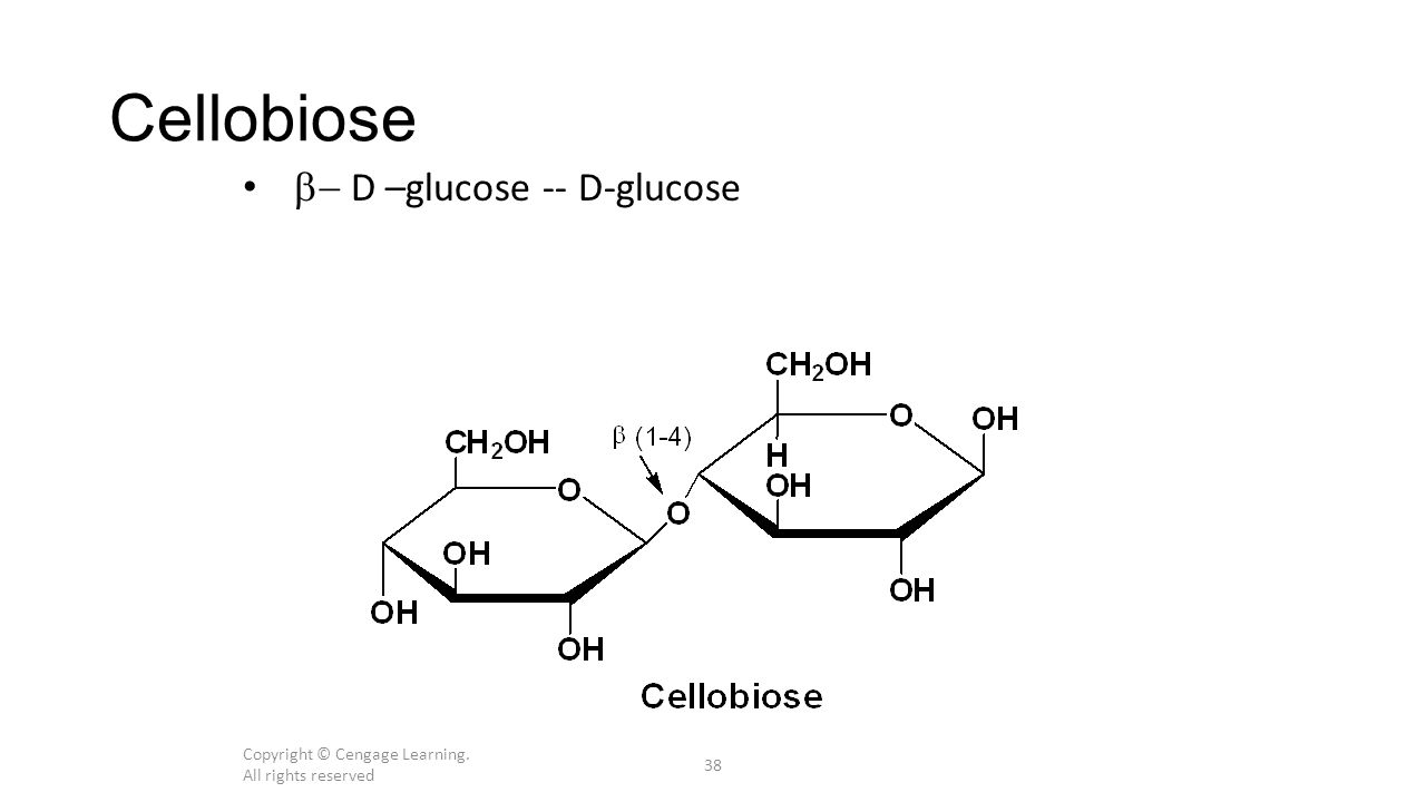 Copyright © Cengage Learning. All rights reserved 38 Cellobiose  D –glucose -- D-glucose