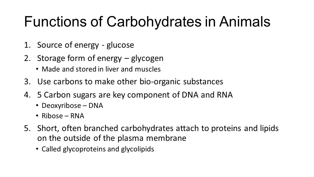 Functions of Carbohydrates in Animals 1.Source of energy - glucose 2.Storage form of energy – glycogen Made and stored in liver and muscles 3.Use carbons to make other bio-organic substances 4.5 Carbon sugars are key component of DNA and RNA Deoxyribose – DNA Ribose – RNA 5.Short, often branched carbohydrates attach to proteins and lipids on the outside of the plasma membrane Called glycoproteins and glycolipids