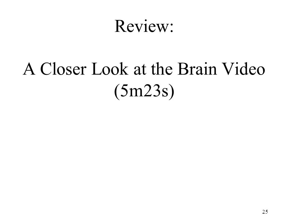 25 Review: A Closer Look at the Brain Video (5m23s)