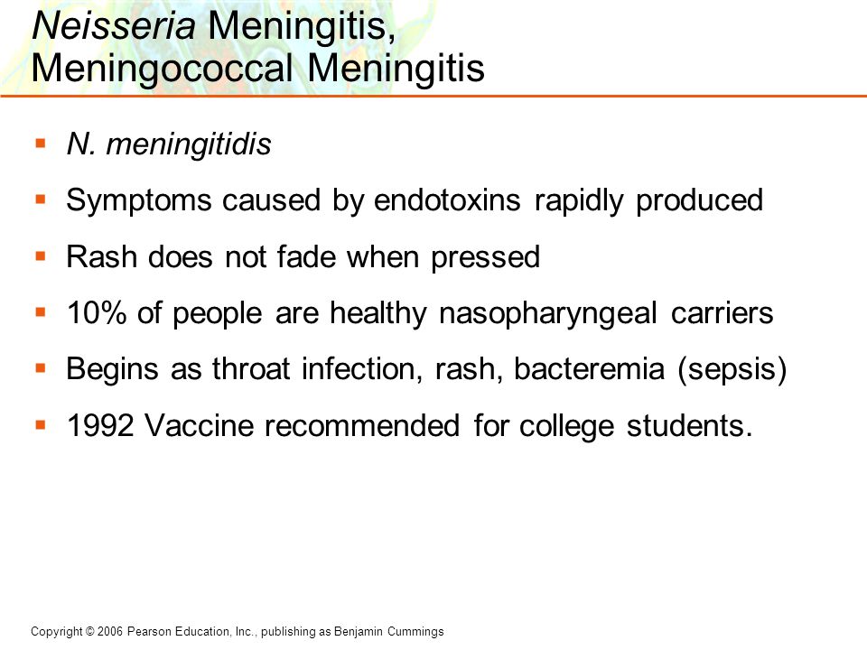 Copyright © 2006 Pearson Education, Inc., publishing as Benjamin Cummings Neisseria Meningitis, Meningococcal Meningitis  N.