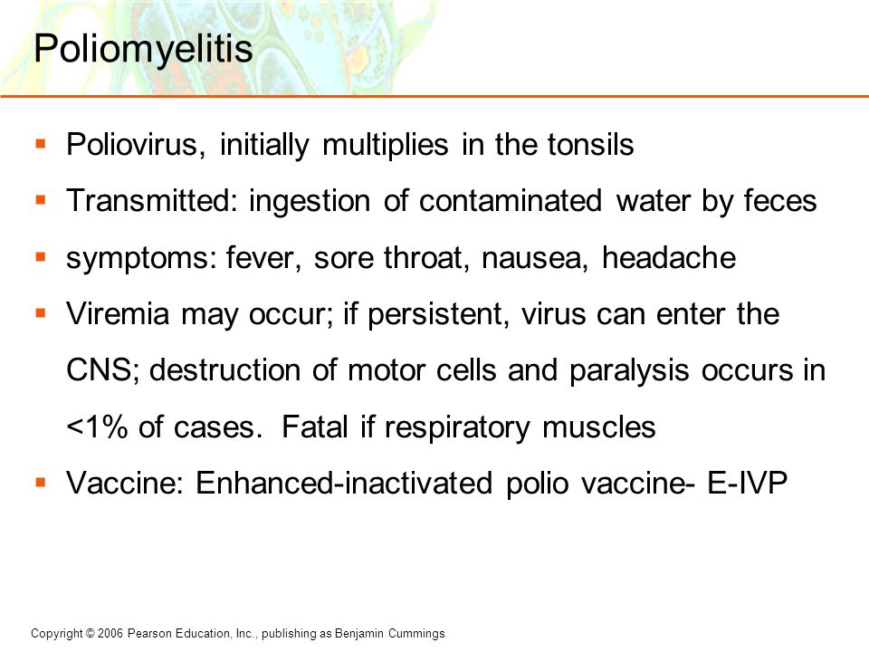 Copyright © 2006 Pearson Education, Inc., publishing as Benjamin Cummings Poliomyelitis  Poliovirus, initially multiplies in the tonsils  Transmitted: ingestion of contaminated water by feces  symptoms: fever, sore throat, nausea, headache  Viremia may occur; if persistent, virus can enter the CNS; destruction of motor cells and paralysis occurs in <1% of cases.