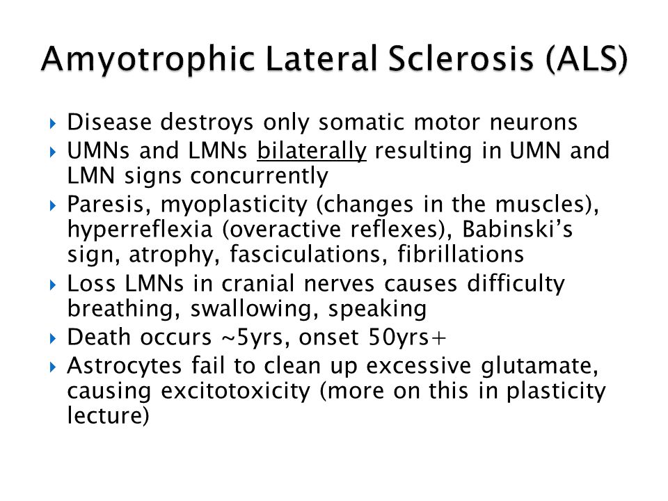  Disease destroys only somatic motor neurons  UMNs and LMNs bilaterally resulting in UMN and LMN signs concurrently  Paresis, myoplasticity (changes in the muscles), hyperreflexia (overactive reflexes), Babinski’s sign, atrophy, fasciculations, fibrillations  Loss LMNs in cranial nerves causes difficulty breathing, swallowing, speaking  Death occurs ~5yrs, onset 50yrs+  Astrocytes fail to clean up excessive glutamate, causing excitotoxicity (more on this in plasticity lecture)