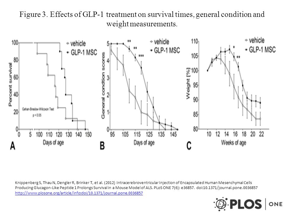 Figure 3. Effects of GLP-1 treatment on survival times, general condition and weight measurements.