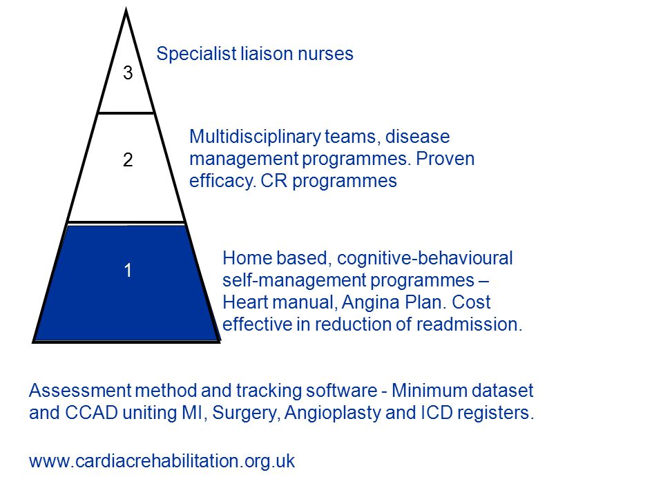 Chronic disease management The background Bob Lewin Professor of Rehabilitation Presentations at -  C ARE AND E DUCATION R... 