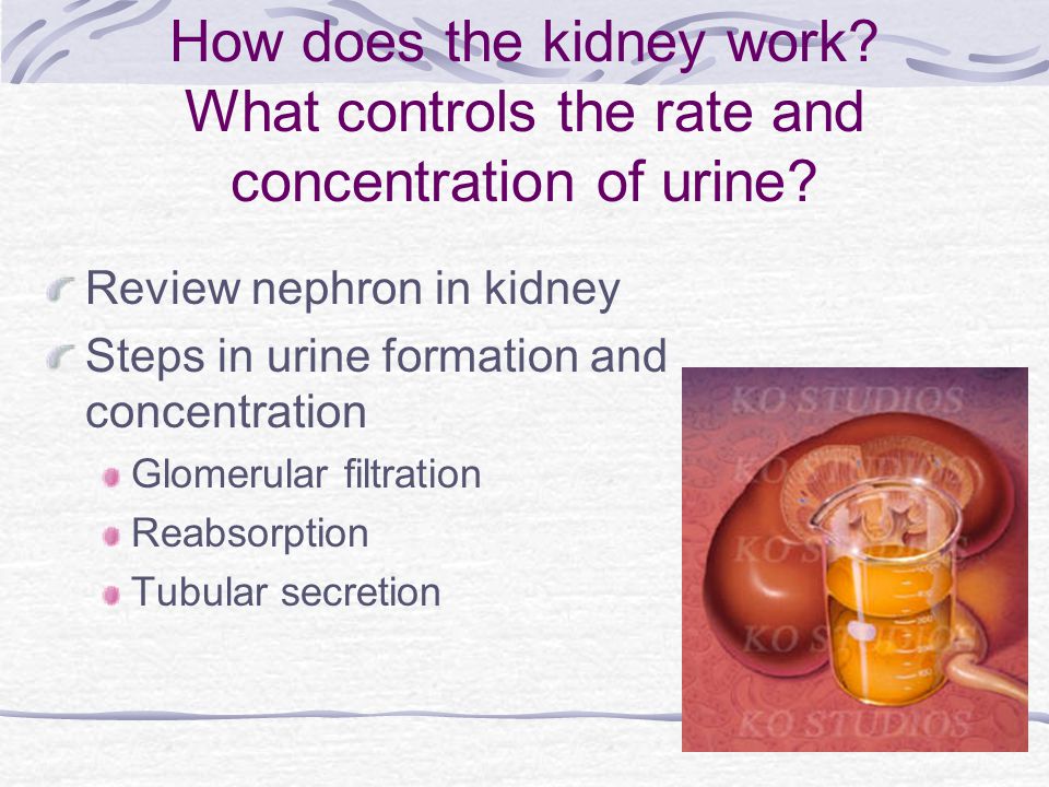 KidneySteps