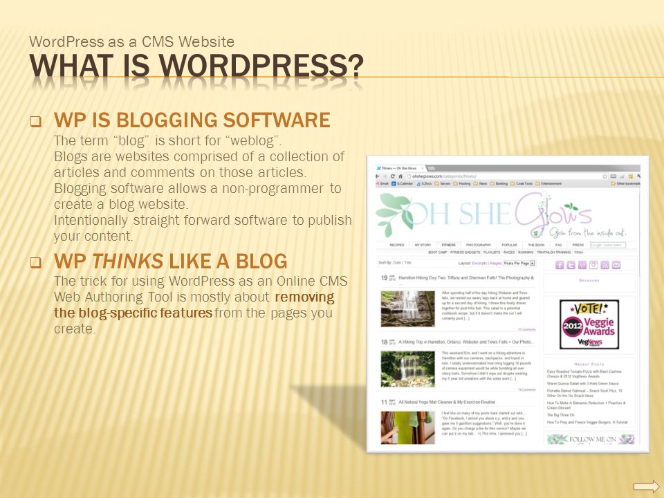 WordPress as a CMS Website  WP IS BLOGGING SOFTWARE The term blog is short for weblog .