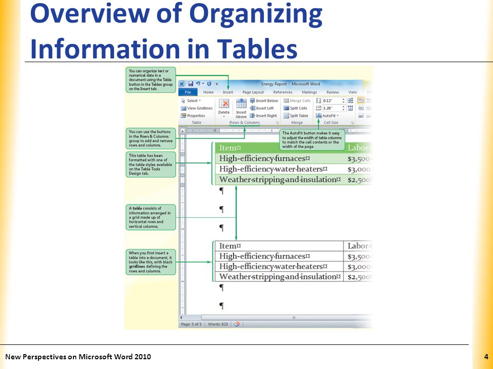 XP Overview of Organizing Information in Tables New Perspectives on Microsoft Word 20104