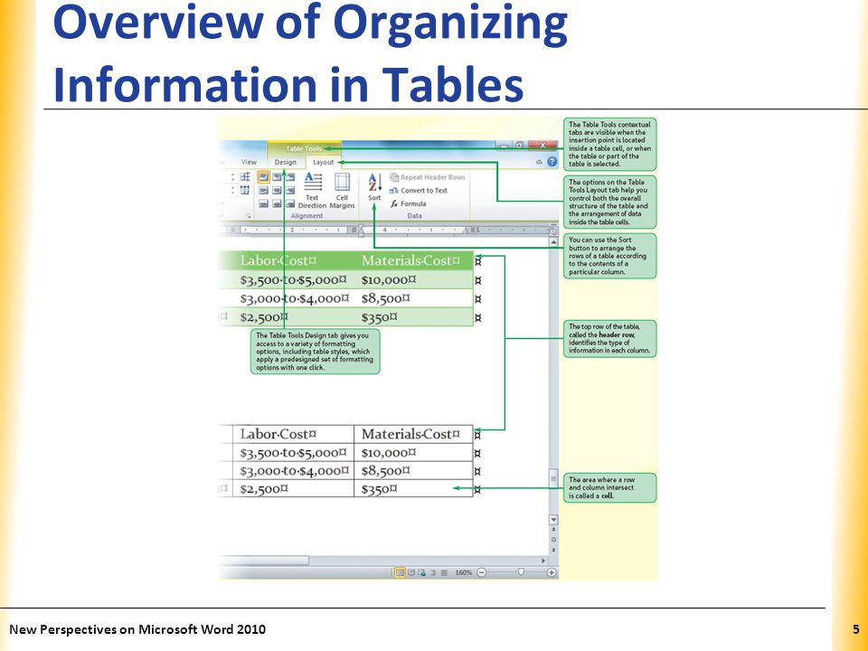 XP Overview of Organizing Information in Tables New Perspectives on Microsoft Word 20105