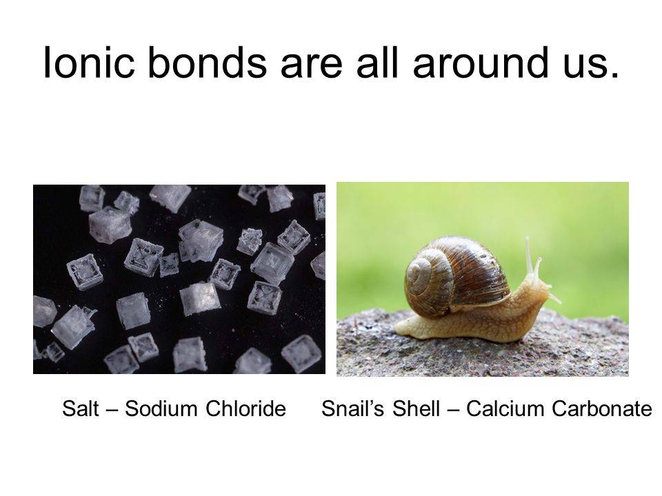 Ionic bonds are all around us. Salt – Sodium ChlorideSnail’s Shell – Calcium Carbonate