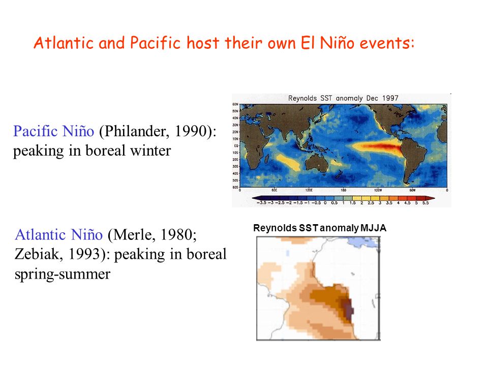 Atlantic and Pacific host their own El Niño events: Atlantic Niño (Merle, 1980; Zebiak, 1993): peaking in boreal spring-summer Pacific Niño (Philander, 1990): peaking in boreal winter Reynolds SST anomaly MJJA