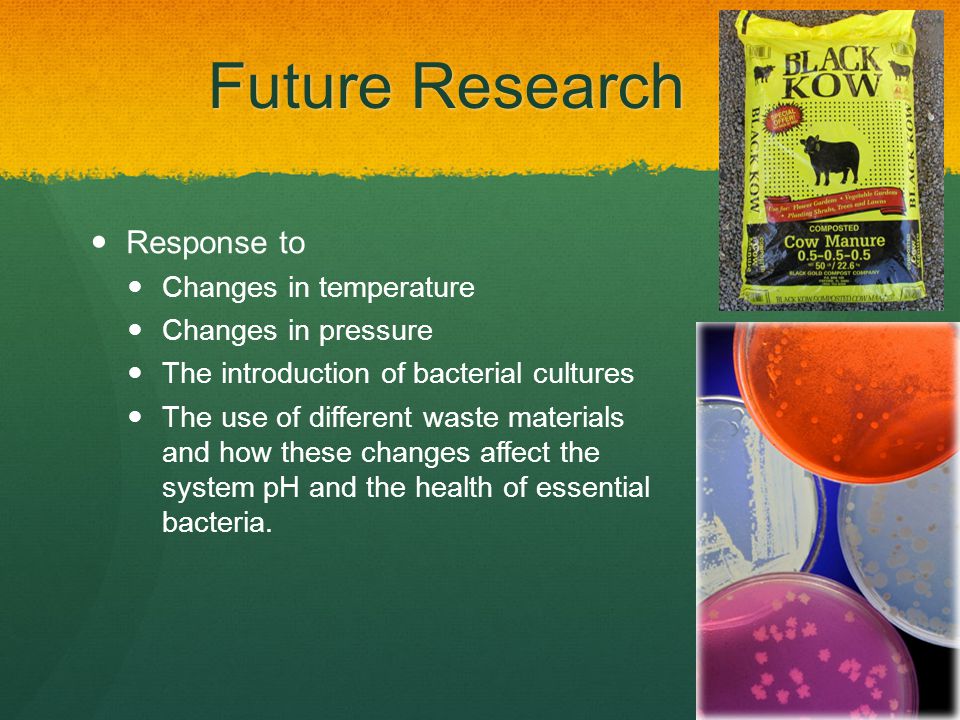 Future Research Response to Changes in temperature Changes in pressure The introduction of bacterial cultures The use of different waste materials and how these changes affect the system pH and the health of essential bacteria.