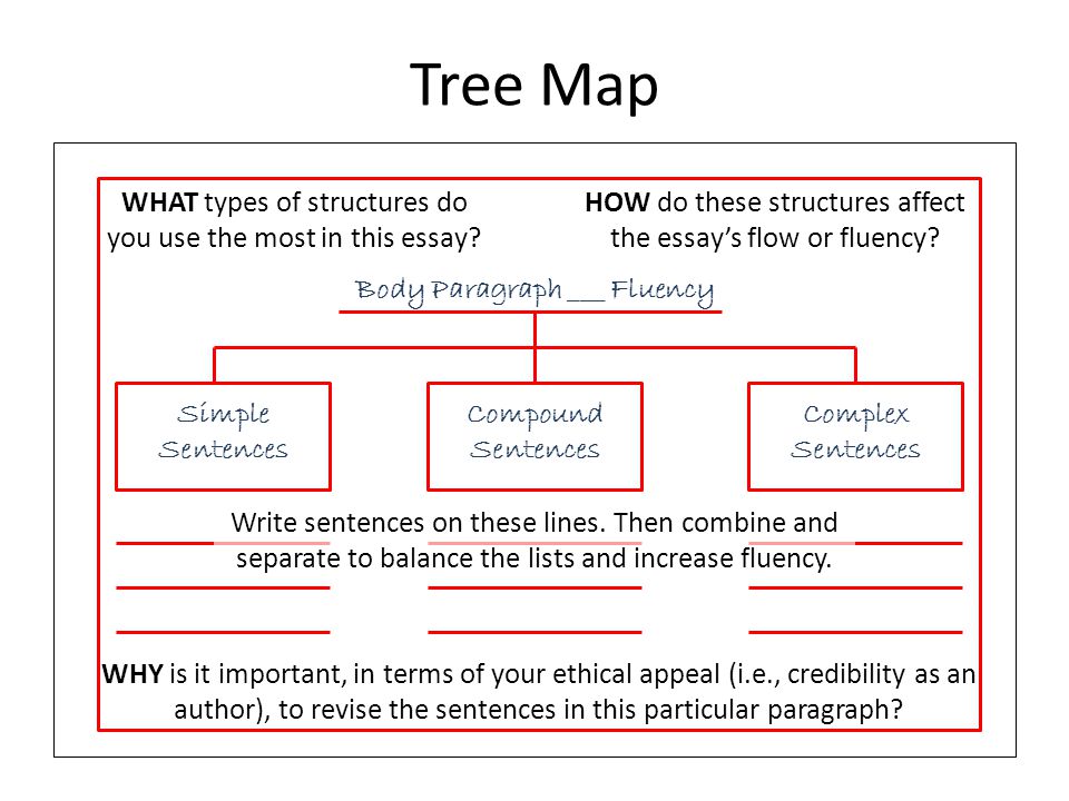 Essay About Healthy Diet Tree Map Simple Sentences Compound Sentences Complex Sentences Write Sentences On These Lines Thesis For Essay also Reflective Essay Sample Paper Kite Runner Argument Essay Thinking Maps Directions Ppt Download Essay On Pollution In English