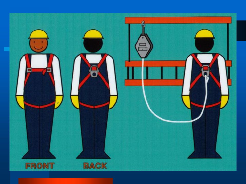 Full Body Harness Safety Poster