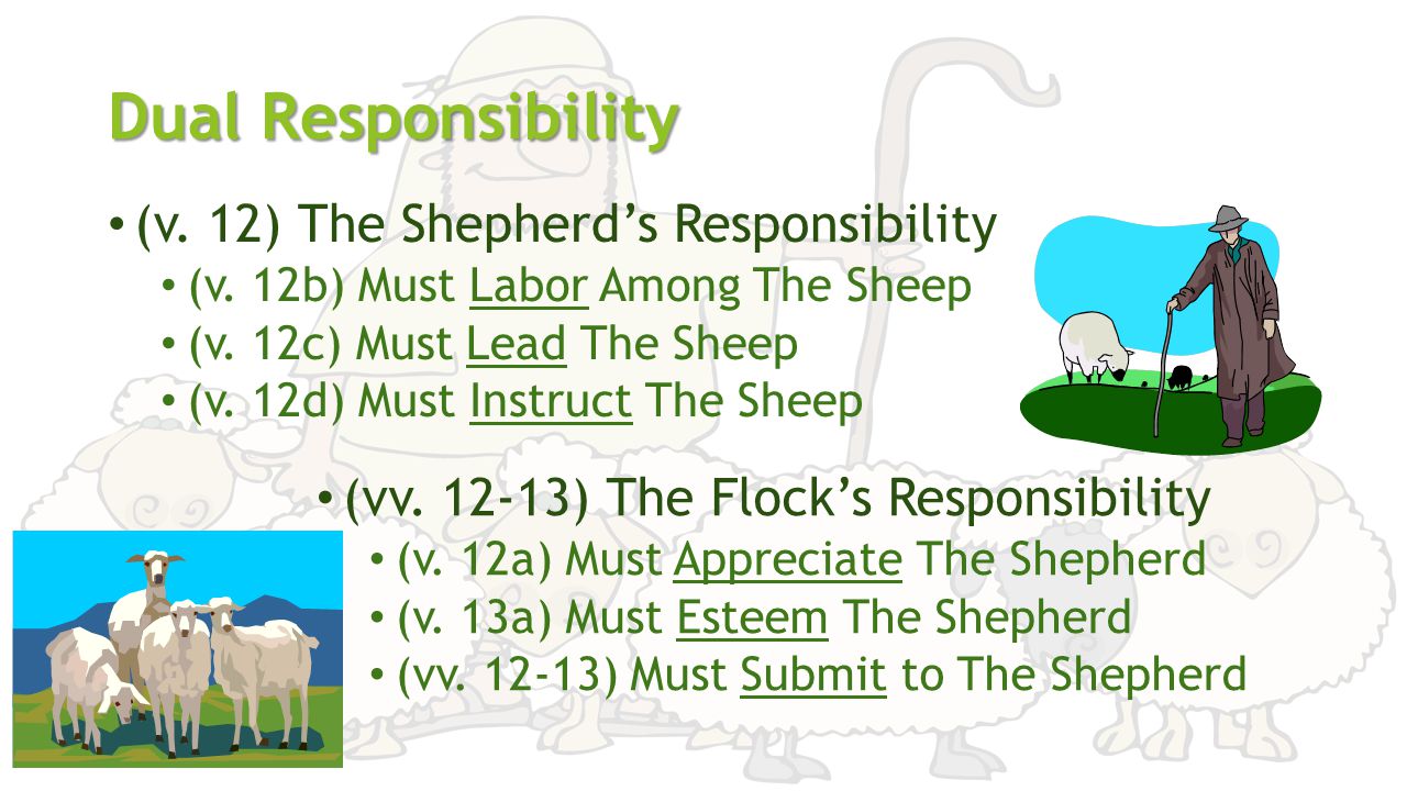 Dual Responsibility (v. 12) The Shepherd’s Responsibility (v.
