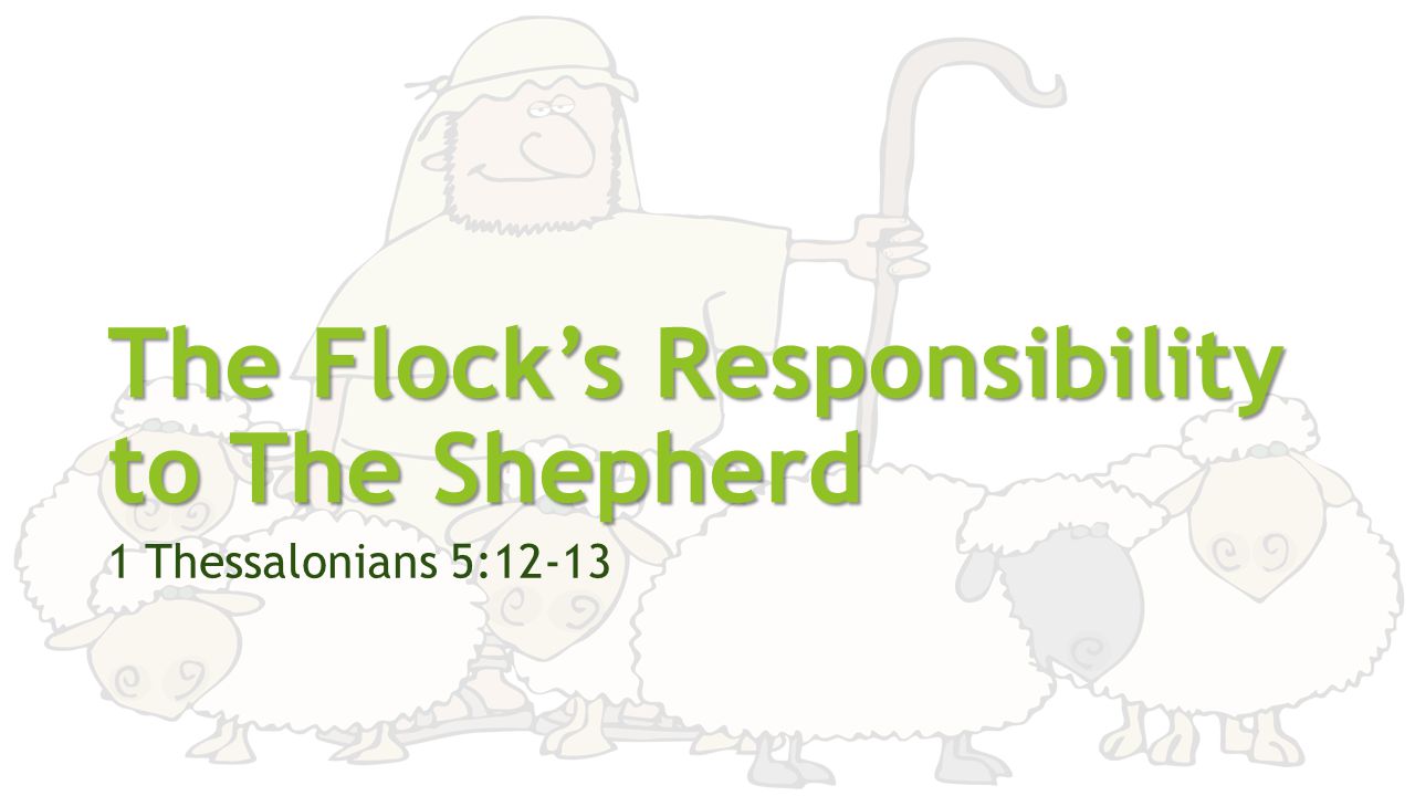 The Flock’s Responsibility to The Shepherd 1 Thessalonians 5:12-13