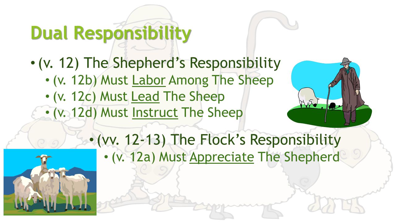 Dual Responsibility (v. 12) The Shepherd’s Responsibility (v.
