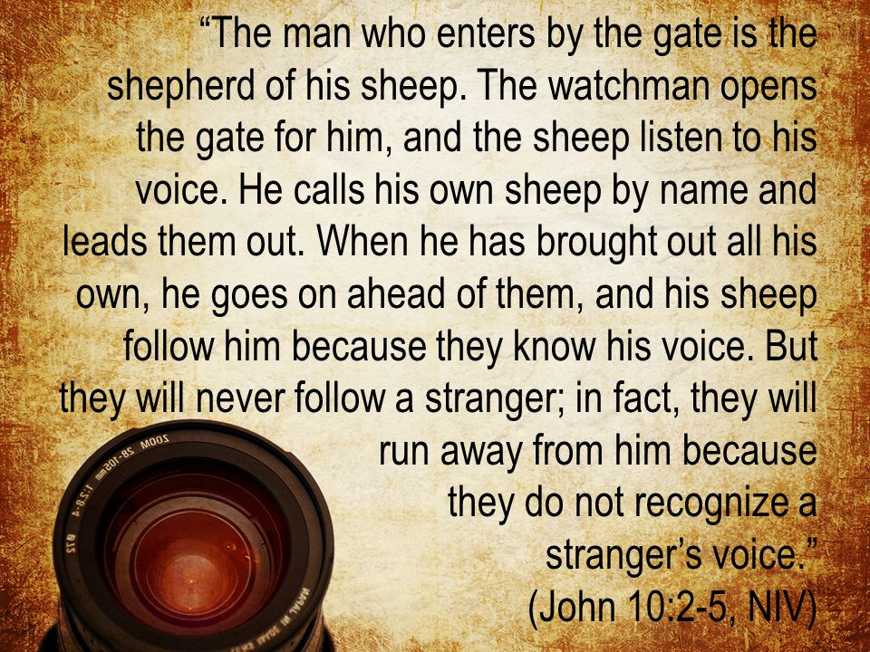 The man who enters by the gate is the shepherd of his sheep.