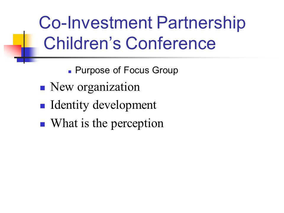 Co-Investment Partnership Children’s Conference Purpose of Focus Group New organization Identity development What is the perception