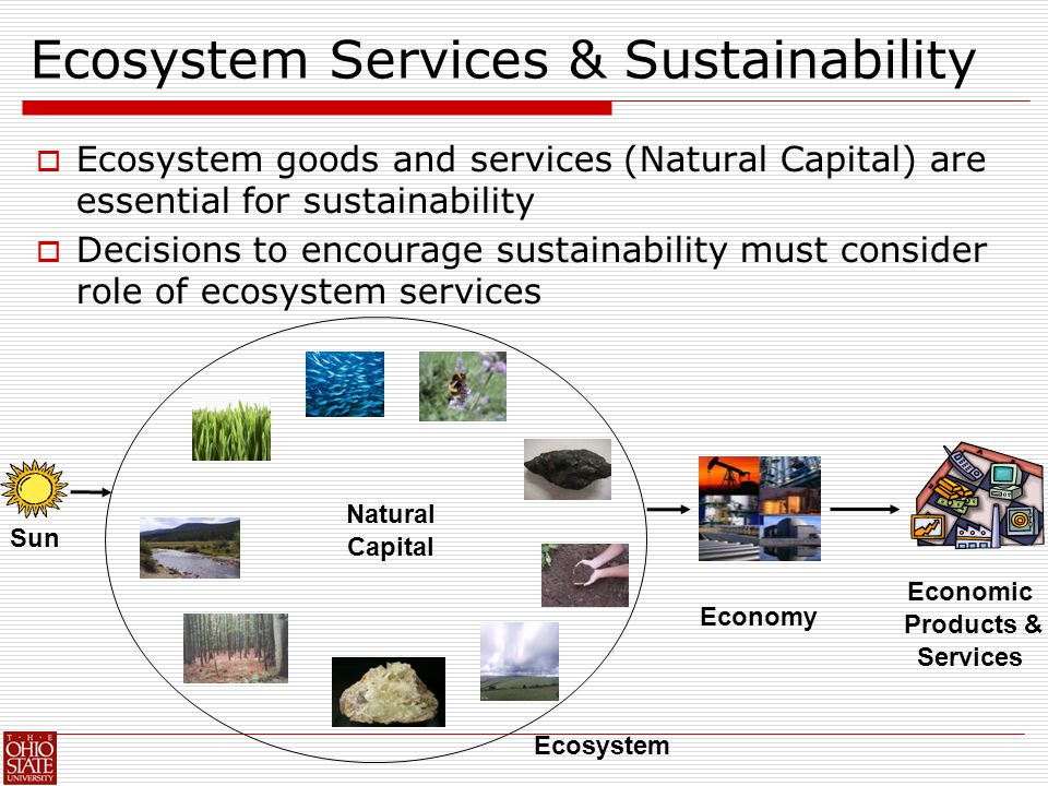 Ecosystem Services & Sustainability  Ecosystem goods and services (Natural Capital) are essential for sustainability  Decisions to encourage sustainability must consider role of ecosystem services Natural Capital Economic Products & Services Ecosystem Economy Sun