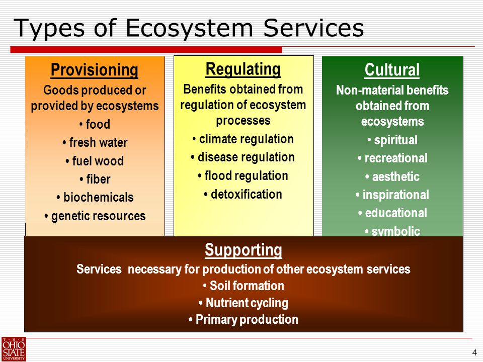 4 Types of Ecosystem Services Regulating Benefits obtained from regulation of ecosystem processes climate regulation disease regulation flood regulation detoxification Provisioning Goods produced or provided by ecosystems food fresh water fuel wood fiber biochemicals genetic resources Cultural Non-material benefits obtained from ecosystems spiritual recreational aesthetic inspirational educational symbolic Supporting Services necessary for production of other ecosystem services Soil formation Nutrient cycling Primary production