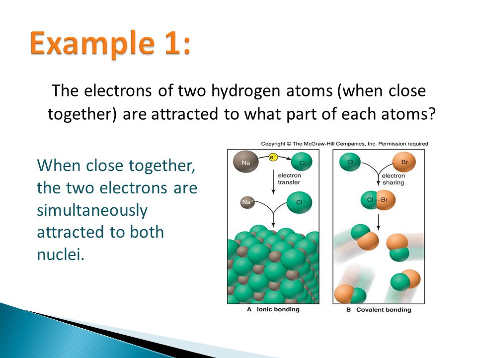 The electrons of two hydrogen atoms (when close together) are attracted to what part of each atoms.