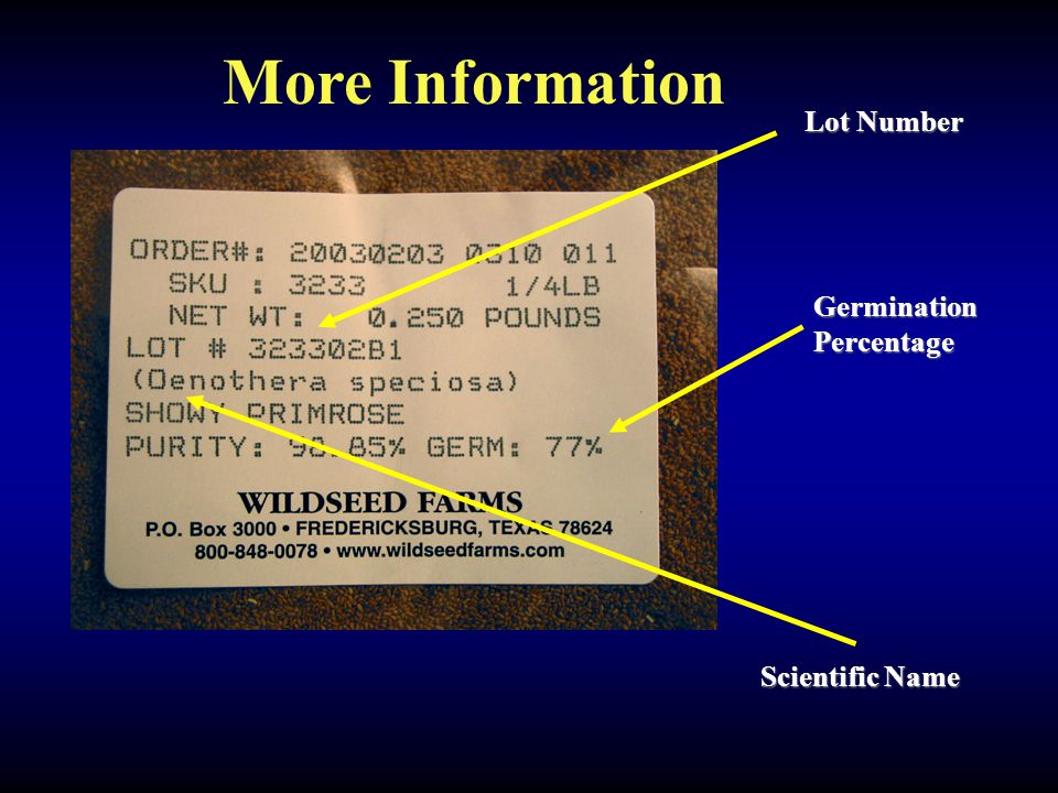 GerminationPercentage Lot Number Scientific Name More Information